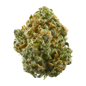 Where to buy Blue Dream online
