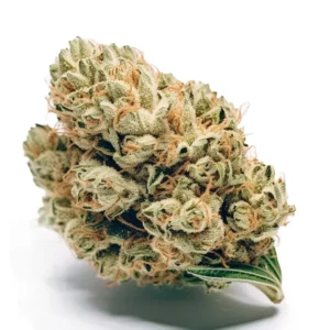 buy jack herer online