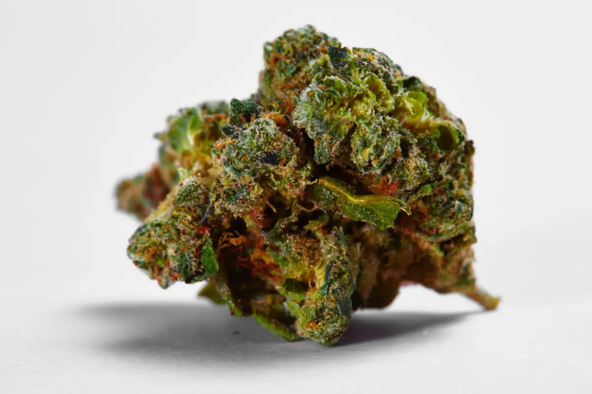 Green Crack cannabis best prices