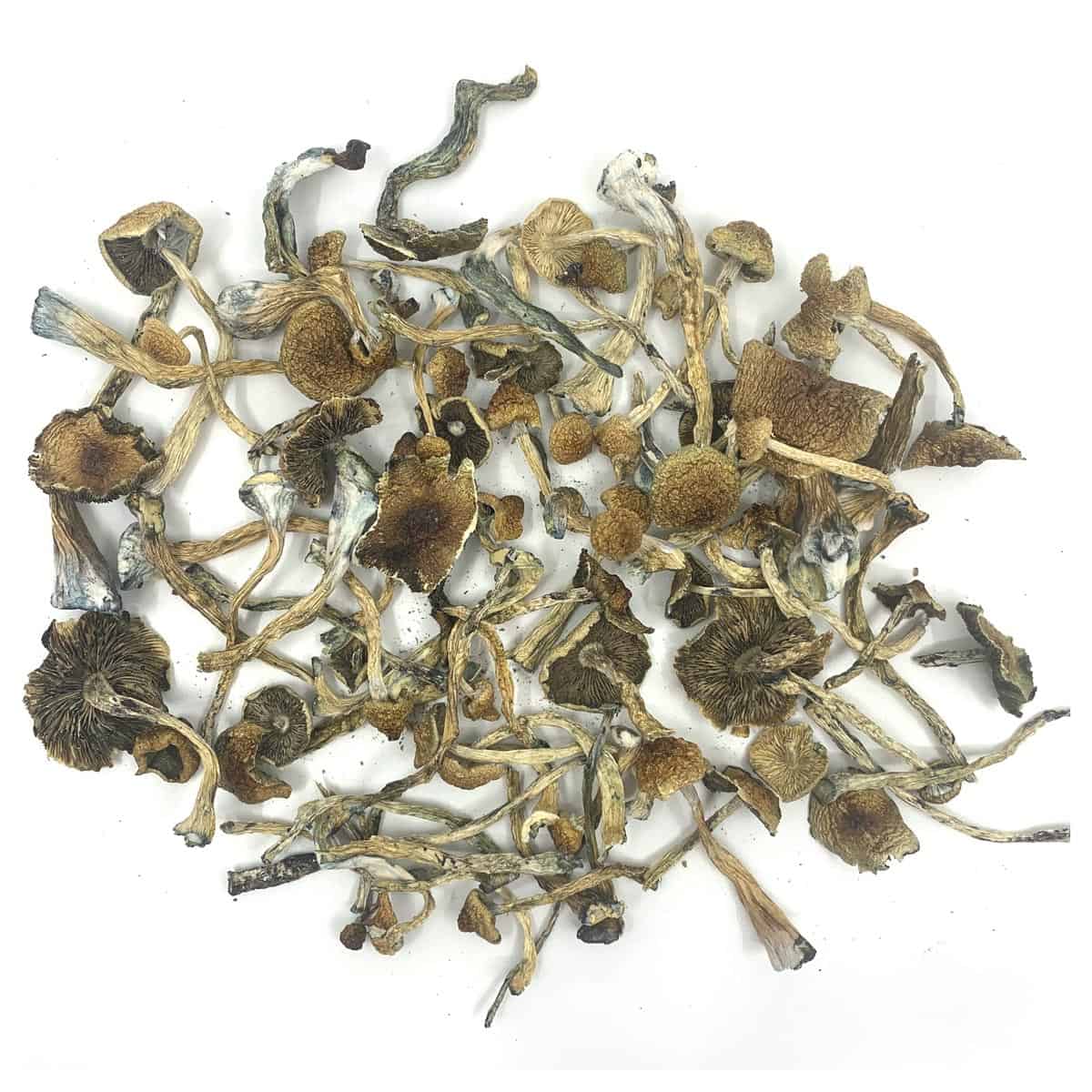 Ounce Magic Mushroom Specials