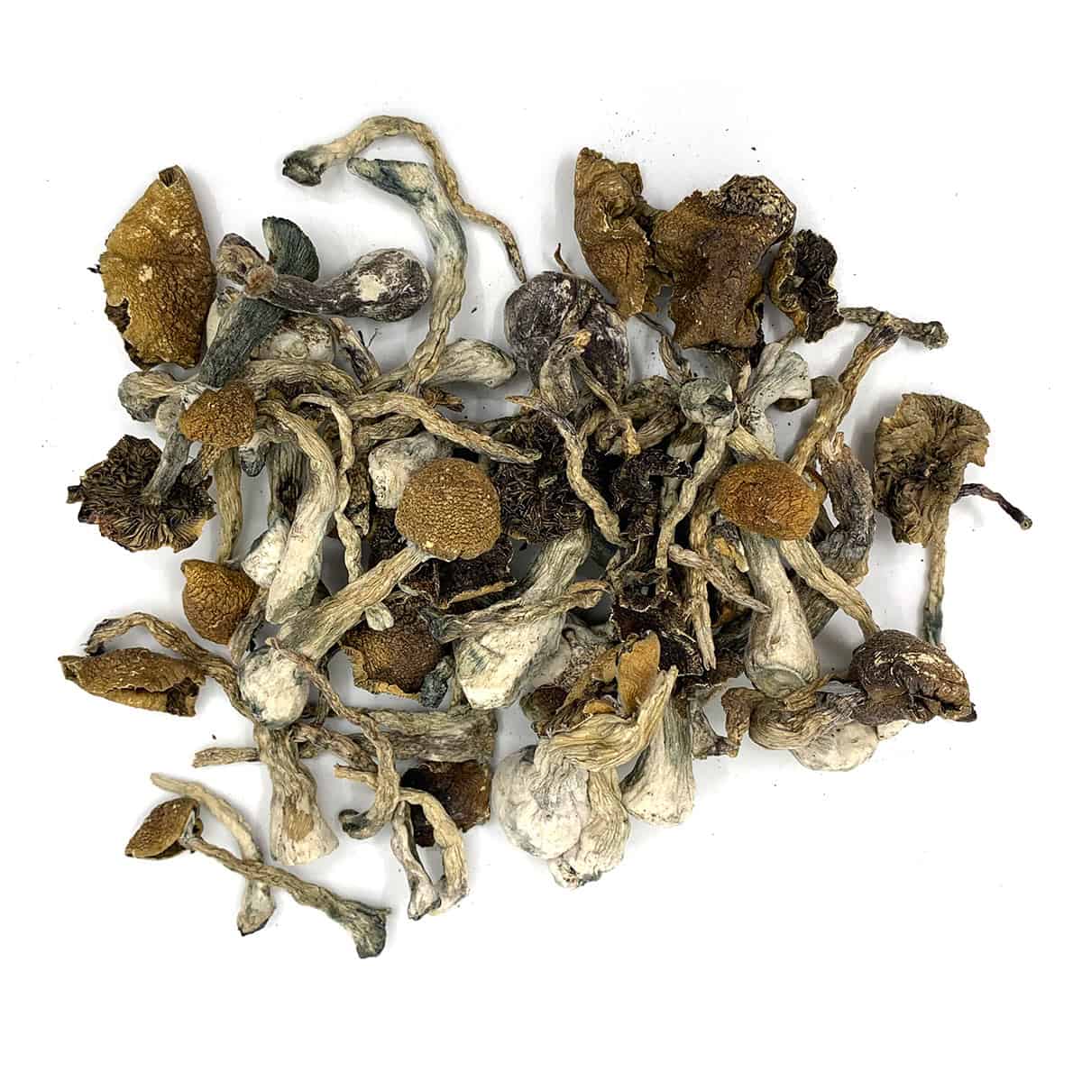 Wavy Z’s Magic Mushrooms (Wavy Shrooms)